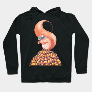 The Bandit Squirrel Hoodie